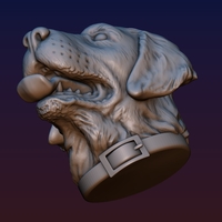 Labrador Head - Thumbnail 11
