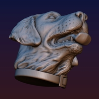 Labrador Head - Thumbnail 12