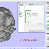 Labrador Head - Thumbnail 15