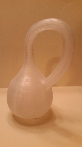 Klein Bottle 3D Print 194845