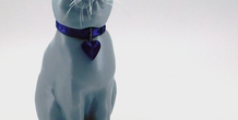 Image 195354