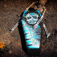 Mini Coffin - Thumbnail 2