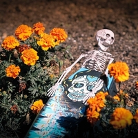 Mini Coffin - Thumbnail 4