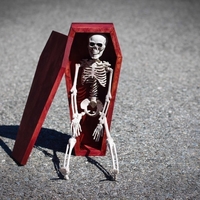 Mini Coffin - Thumbnail 6