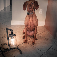 Pipe Lamp - Thumbnail 3