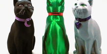 Image 195404