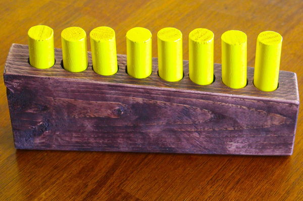 Pin Puzzle