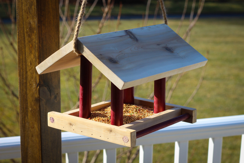 Bird Feeder