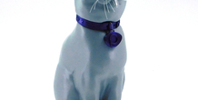 Image 195529