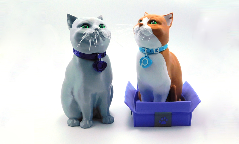 SCHRODINKY! Pinshape Cat Collar medals!! 3D Print 195533