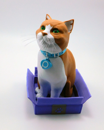 SCHRODINKY! Pinshape Cat Collar medals!! 3D Print 195534