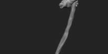 Image 195800