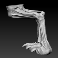 Sabrewulf from Killer Instinct Game - Thumbnail 12