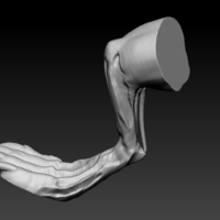 Sabrewulf from Killer Instinct Game - Thumbnail 14