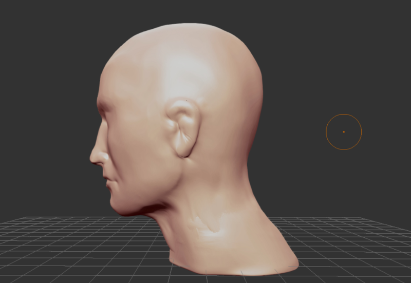 roughly formed Head as a template