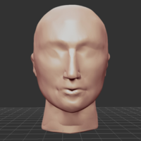 roughly formed Head as a template - Thumbnail 2