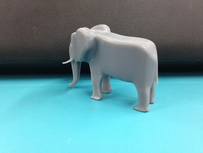 Elephant 3D Print 196312