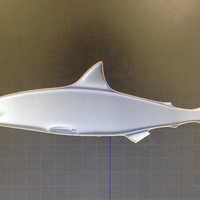 Small Shark 3D Printing 196388