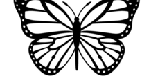 Image 196636