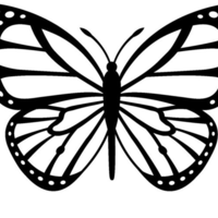 Monarch Butterfly by Elizabeth "Liz" Havlin-King - Thumbnail 1