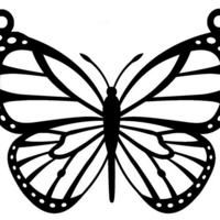 Butterfly Earrings  - Thumbnail 2