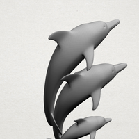 Three dolphin  - Thumbnail 5