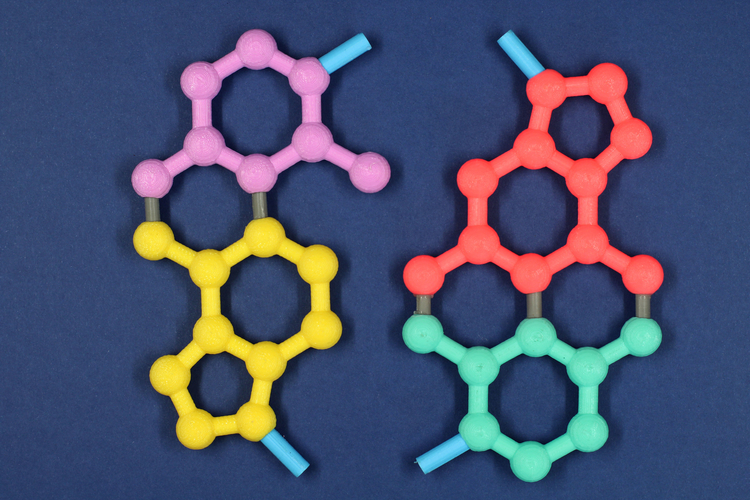 Building a DNA chain 3D Print 197230