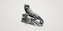 Image 197275