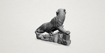 Image 197277