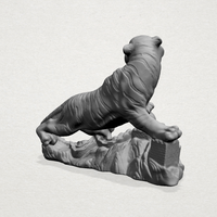 Siberian Tiger  01 - Thumbnail 3