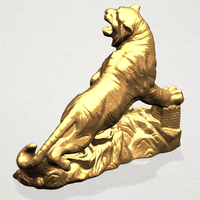 Siberian Tiger  01 - Thumbnail 6