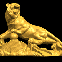 Siberian Tiger  01 - Thumbnail 10