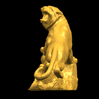 Siberian Tiger  01 - Thumbnail 13