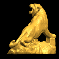 Siberian Tiger  01 - Thumbnail 14