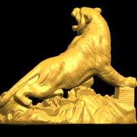 Siberian Tiger  01 - Thumbnail 15