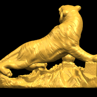 Siberian Tiger  01 - Thumbnail 16