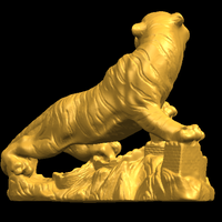 Siberian Tiger  01 - Thumbnail 17