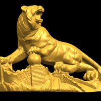 Siberian Tiger  01 - Thumbnail 21