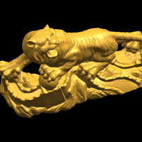 Siberian Tiger  01 - Thumbnail 22