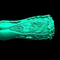 Vegetable 01 - Thumbnail 1