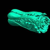 Vegetable 01 - Thumbnail 2