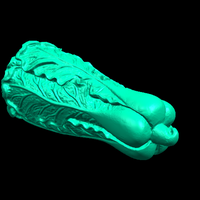 Vegetable 01 - Thumbnail 4