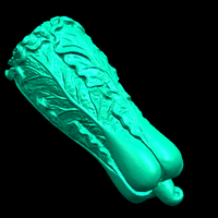 Vegetable 01 - Thumbnail 5