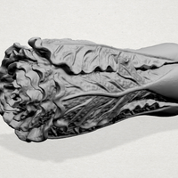 Vegetable 01 - Thumbnail 6