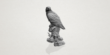 Image 197338
