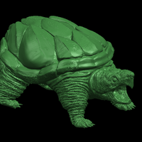 Giant tortoise - Thumbnail 2