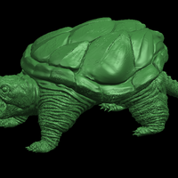 Giant tortoise - Thumbnail 3