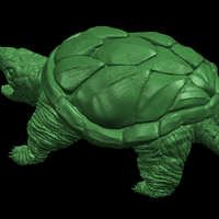 Giant tortoise - Thumbnail 4