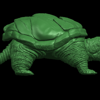 Giant tortoise - Thumbnail 7