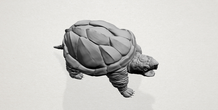 Image 197382